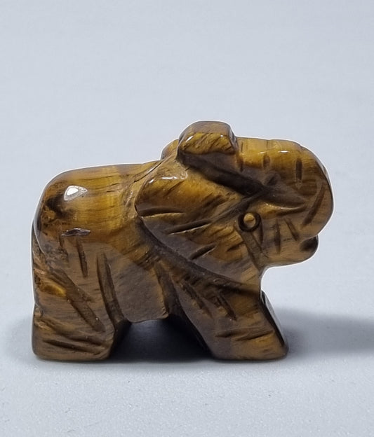 Elefante Ojo de Tigre