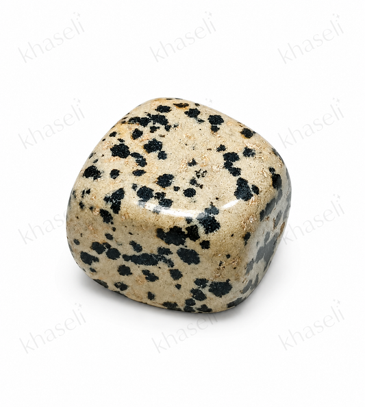 Piedra Jaspe Dálmata Natural Pulida – Protección, Alegría y Equilibrio Emocional