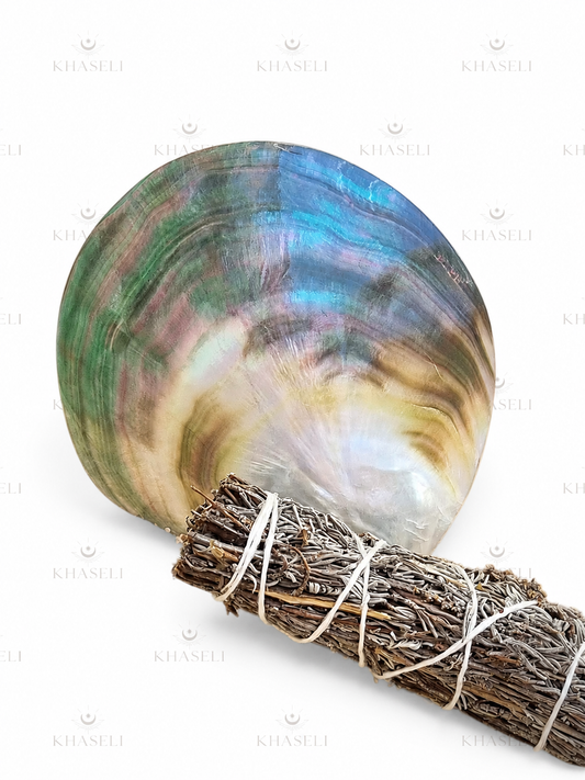 Concha de Nácar Natural - Concha para Sahumar, Palo Santo y Limpiezas Energéticas